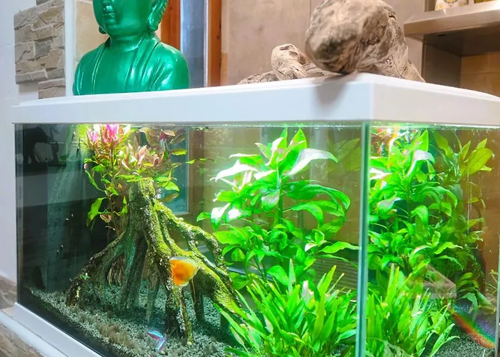 Appartamento Accogliente Anzola Dell' Emilia *